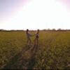 p_allingham